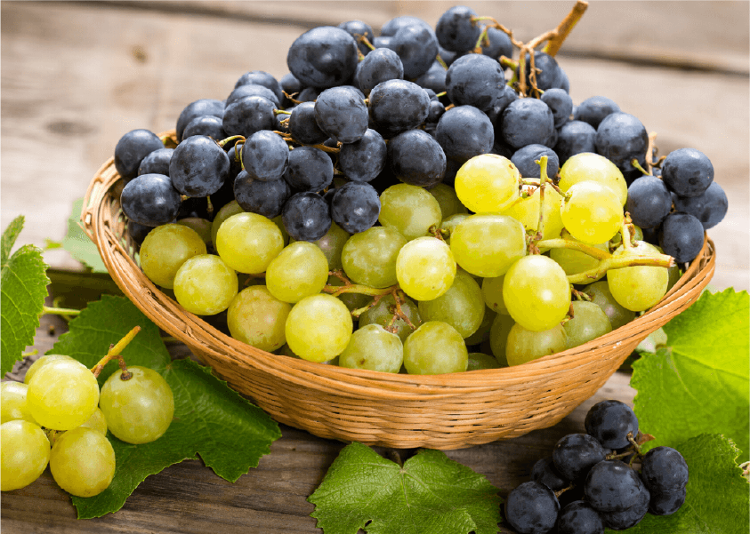 Olive oil and fresh olives